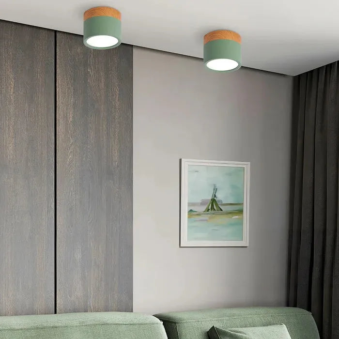 VibrantGlow - Elegant Small Ceiling Lamp