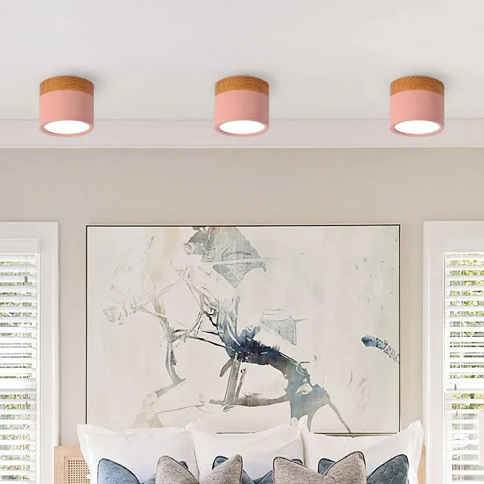 VibrantGlow - Elegant Small Ceiling Lamp