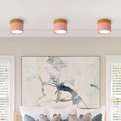 VibrantGlow - Elegant Small Ceiling Lamp