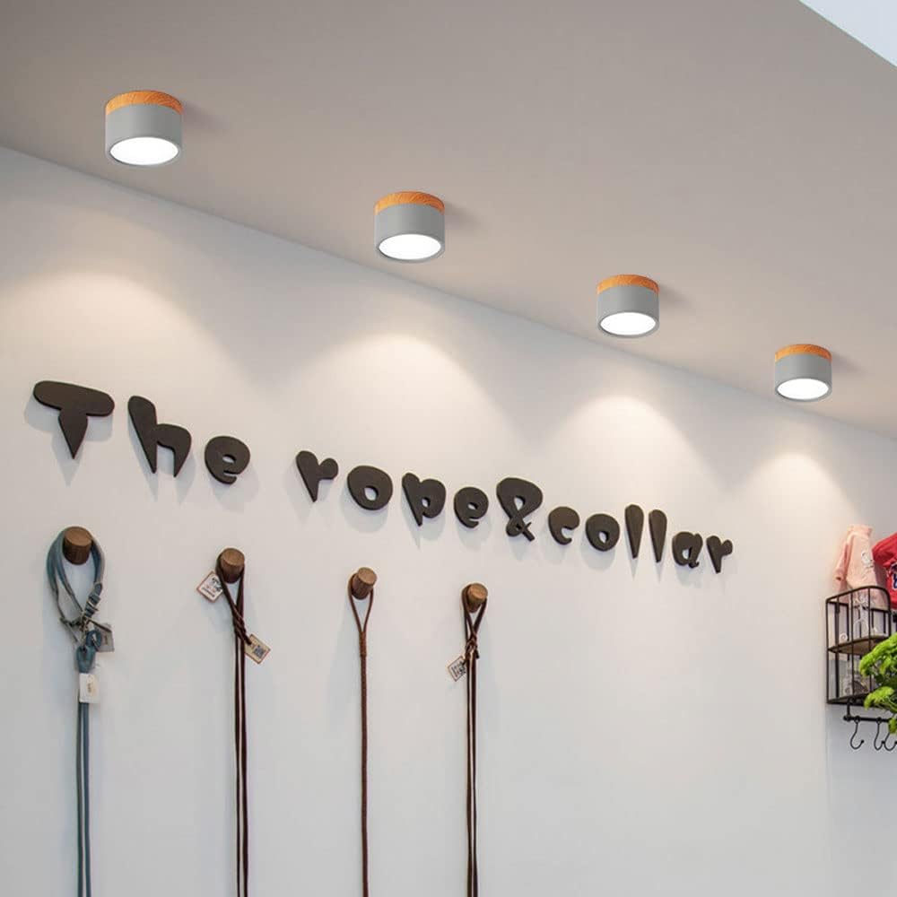VibrantGlow - Elegant Small Ceiling Lamp