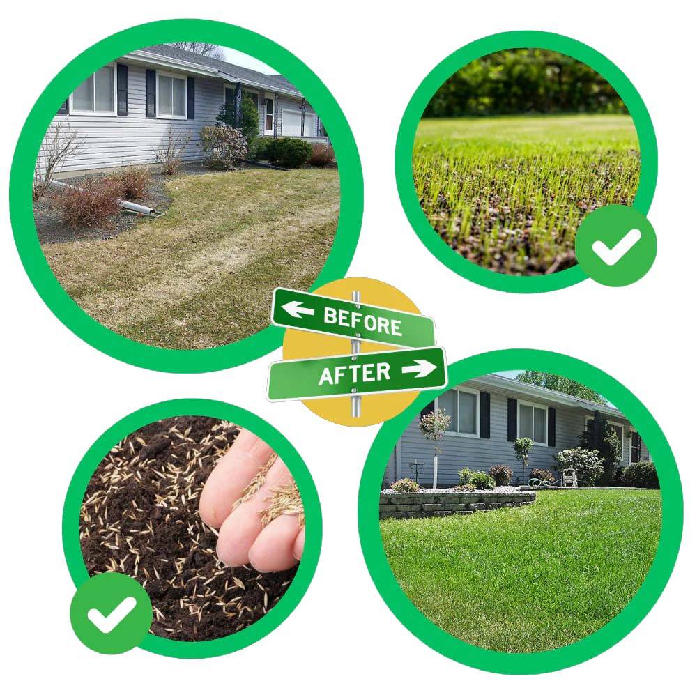 Tapis de Semences de Gazon Vert Quick Fix